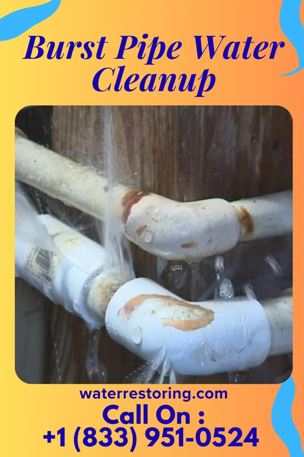 Burst Pipe Water Cleanup in Sheatown, PA