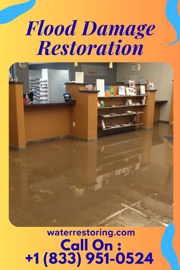 Flood Damage Restoration in Sheatown, PA
