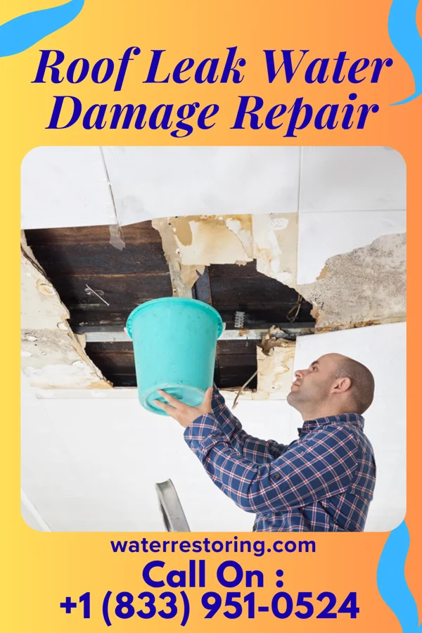 Roof Leak Water Damage Repair in Sheatown, PA