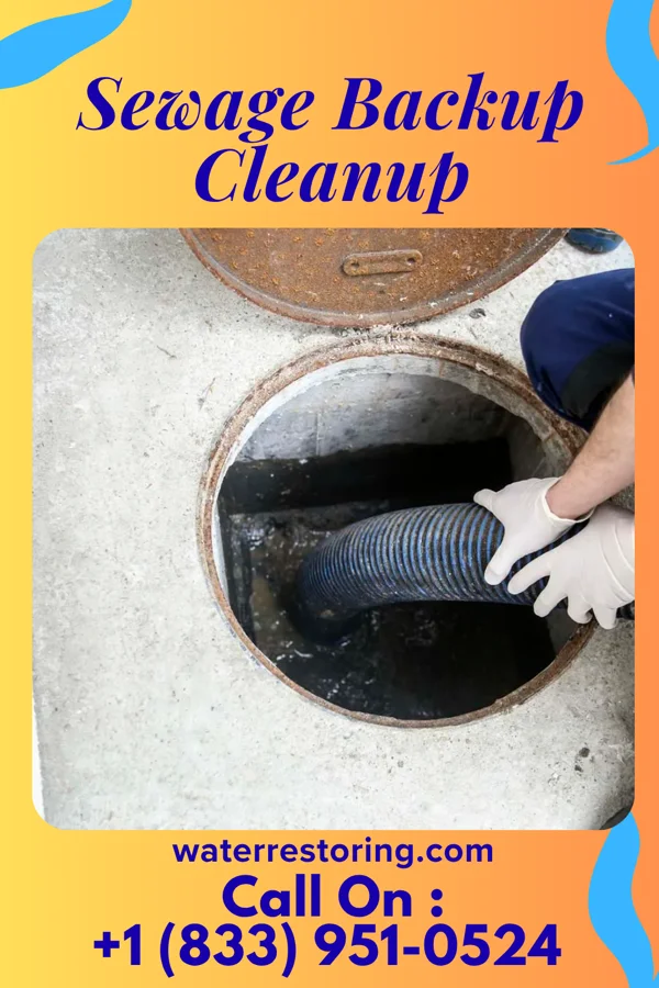 Sewage Backup Cleanup in Sheatown, PA
