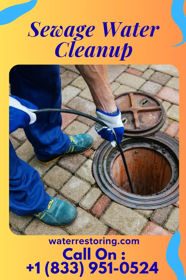 Sewage Water Cleanup in Sheatown, PA