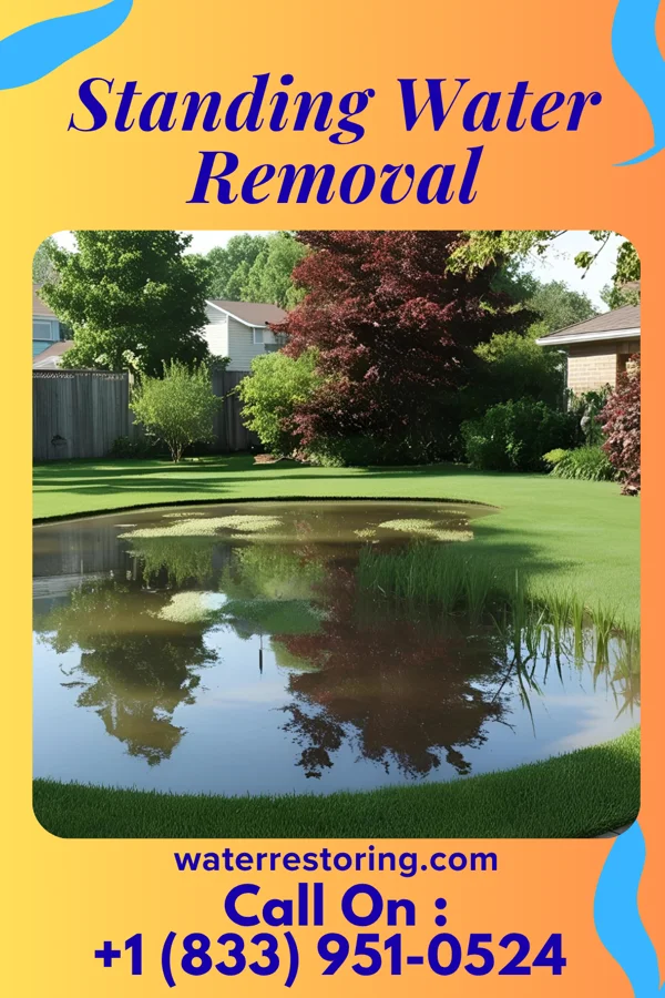 Standing Water Removal in Sheatown, PA